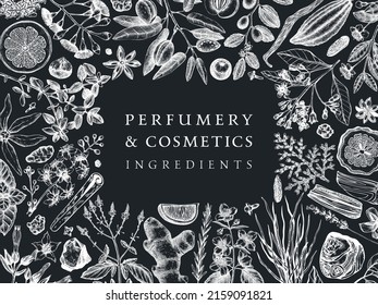 Hand drawn perfumery and cosmetics ingredients banner. Decorative background with vintage aromatic plants, fruits, spices, herbs for perfumery. Cosmetics design template. Aromatic plants on chalkboard