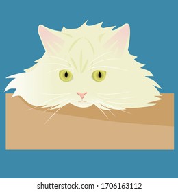 Hand Drawn Persian Cat Lay in the Paper Box. Cute Vector Illustration.