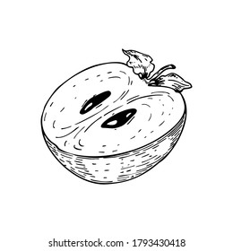Handgezeichneter Persimmon, einzeln auf weißem Hintergrund. Vektorgrafik im Skizzenstil