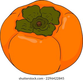 Hand drawn persimmon, date plum fruits. Colored botanical, cartoon isolated on white background