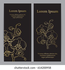 Hand drawn Phalaenopsis orchid, vector sketch, gold ink drawing imitation