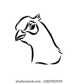 Hand drawn of an pheasant, sketch. Vector illustration isolated on a white background.