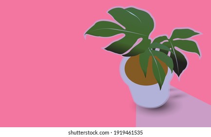 Hand drawn Philodendron Lemon Murah on a light pink background For you vector illustration design