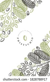 Hand drawn phistachio branch and kernels design template. Organic food vector illustration on white background. Retro nut illustration. Engraved style botanical banner.