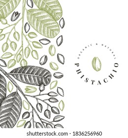 Hand drawn phistachio branch and kernels design template. Organic food vector illustration on white background. Retro nut illustration. Engraved style botanical banner.