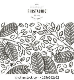 Plantilla de diseño de bifurcación de phistachio dibujada a mano y de núcleos. Ilustración vectorial de alimentos orgánicos sobre fondo blanco. Ilustración de tuerca retro. Banner botánico de estilo grabado.