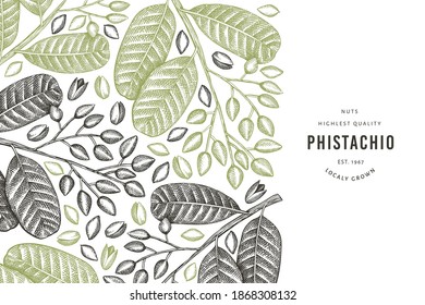 Plantilla de diseño de bifurcación de phistachio dibujada a mano y de núcleos. Ilustración vectorial de alimentos orgánicos sobre fondo blanco. Ilustración de tuerca retro. Banner botánico de estilo grabado.