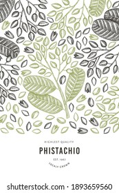 Handgezeichnete phistachio-Filiale und Kernel-Design-Vorlage. Organische Lebensmittelvektorgrafik auf weißem Hintergrund. Retro-Nuss-Illustration. Botanischer Banner im Stilstil.