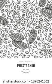 Plantilla de diseño de bifurcación de phistachio dibujada a mano y de núcleos. Ilustración vectorial de alimentos orgánicos sobre fondo blanco. Ilustración de tuerca retro. Banner botánico de estilo grabado.