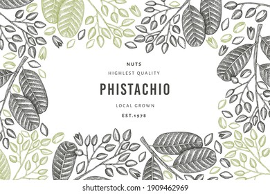 Hand drawn phistachio branch and kernels design template. Organic food vector illustration on white background. Retro nut illustration. Engraved style botanical banner.