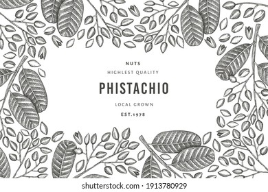 Hand drawn phistachio branch and kernels design template. Organic food vector illustration on white background. Retro nut illustration. Engraved style botanical banner.