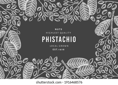 Hand drawn phistachio branch and kernels design template. Organic food vector illustration on chalk board. Retro nut illustration. Engraved style botanical banner.