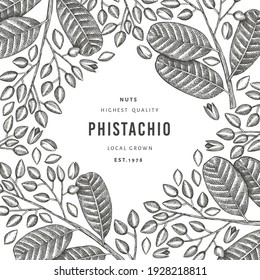 Plantilla de diseño de bifurcación de phistachio dibujada a mano y de núcleos. Ilustración vectorial de alimentos orgánicos sobre fondo blanco. Ilustración de tuerca retro. Banner botánico de estilo grabado.