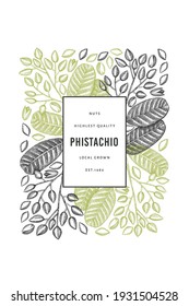 Hand drawn phistachio branch and kernels design template. Organic food vector illustration on white background. Retro nut illustration. Engraved style botanical banner.