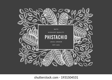 Hand drawn phistachio branch and kernels design template. Organic food vector illustration on chalk board. Retro nut illustration. Engraved style botanical banner.