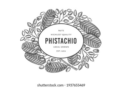 Handgezeichnete phistachio-Filiale und Kernel-Design-Vorlage. Organische Lebensmittelvektorgrafik auf weißem Hintergrund. Retro-Nuss-Illustration. Botanischer Banner im Stilstil.
