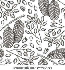 Hand drawn phistachio branch and kernels seamless pattern. Organic food vector illustration on white background. Retro nut illustration. Engraved style botanical background.