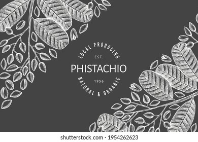 Hand drawn phistachio branch and kernels design template. Organic food vector illustration on chalk board. Retro nut illustration. Engraved style botanical banner.