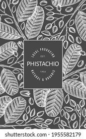 Hand drawn phistachio branch and kernels design template. Organic food vector illustration on chalk board. Retro nut illustration. Engraved style botanical banner.