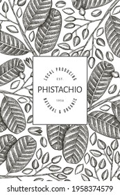 Hand drawn phistachio branch and kernels design template. Organic food vector illustration on white background. Retro nut illustration. Engraved style botanical banner.