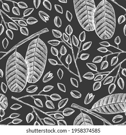 Hand drawn phistachio branch and kernels seamless pattern. Organic food vector illustration on chalk board. Retro nut illustration. Engraved style botanical background.