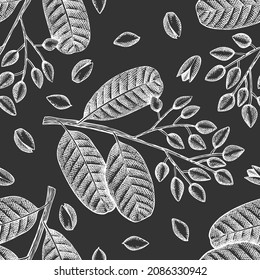 Handgezeichnete phistachio Zweig und Kernel nahtlose Muster. Bio-Lebensmittel-Vektorgrafik auf Kreidebrett. Retro-Nuss-Illustration. botanischer Hintergrund im Stilstil.
