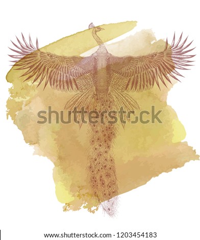 Hand drawn phoenix on the sky vintage background.Sketch for print t shirt.Symbol rebirth.Rock painting.Ancient peacock on watercolor background.Sketch for print t shirt.Feathers pattern.