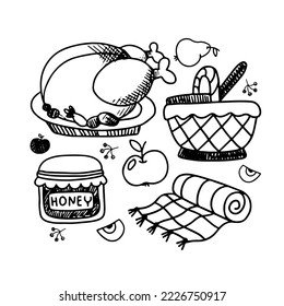 Hand drawn picnic outline elements. Baked chicken, basket, plaid. Vector illustration isolated on white background.
