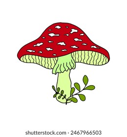 Hand drawn picture of fly agaric fungi. Botanical forest illustration for design, print, fabric or background. Sketch doodle drawing of magic poisonous mushrooms with red spotted cap.