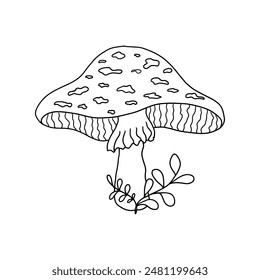 Hand drawn picture of fly agaric fungi. Botanical forest illustration for design, print,fabric or background. Doodle style drawing of magic poisonous mushroom, black outline sketch on white background