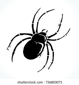 Hand drawn picture of spider silhouette isolated on white background. Template for Halloween design. Vector illustration. 