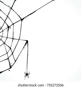 Hand drawn picture of spiderweb silhouette isolated on white background. Template for Halloween design. Vector illustration. 