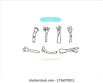 Hand drawn pictures. Cartoon Shallot illustrations. Black and white pattern vegetables  elements. perfect for invitations, greeting cards, prints, posters.