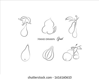 Hand drawn pictures of fruits and vegetable.  Gourd black and white pattern healthy food elements perfect for invitations, greeting cards, prints, posters.