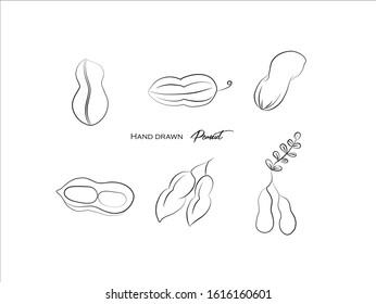 Hand drawn pictures. Fruits and vegetables peanut illustrations. Black and white pattern healthy food elements perfect for invitations, greeting cards, prints, posters.