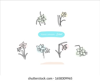 Hand drawn pictures.Daffodil illustrations. Black and white pattern flower elements. perfect for invitations, greeting cards, prints, posters.