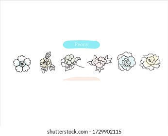 Hand drawn pictures.Peony illustrations. Black and white pattern flower elements. perfect for invitations, greeting cards, prints, posters.