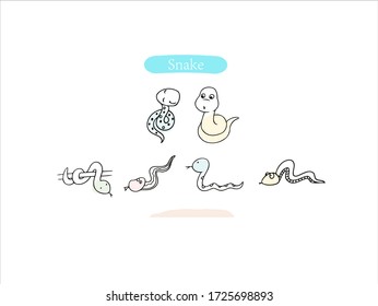 Hand drawn pictures.Snake illustrations. Black and white pattern animal elements. perfect for invitations, greeting cards, prints, posters.
