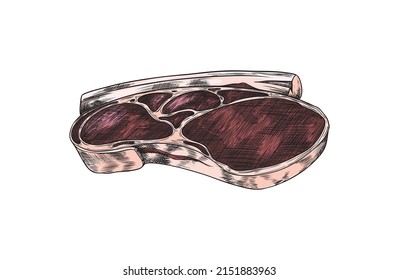 Hand drawn piece of meat sketch style, vector illustration isolated on white background. Barbecue and grill concept, food design element for menu, card, banner