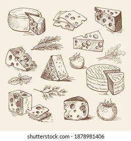Hand drawn pieces of cheese, tomatoes, greens. Vector sketch, organic food illustration