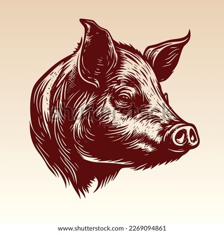 Hand drawn Pig Head illustration. Vintage woodcut engraving style vector illustration.