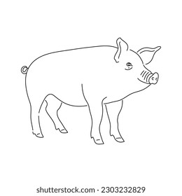 Hand drawn pig isolated on white background. Vector.