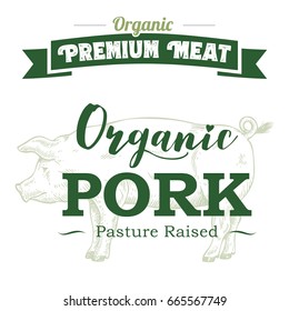 Hand drawn pig label with text organic pork, vector