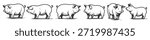 hand drawn pig line art collection in various poses