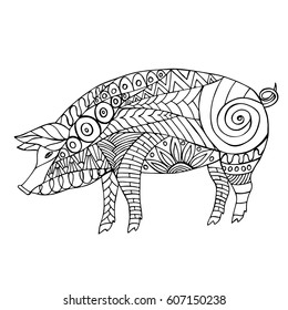 Hand drawn pig on white background in doodle style. Vector illustration. Made by trace from sketch.
