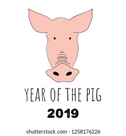 Hand drawn pig silhouette. Vector illustration on white background. Eps10
