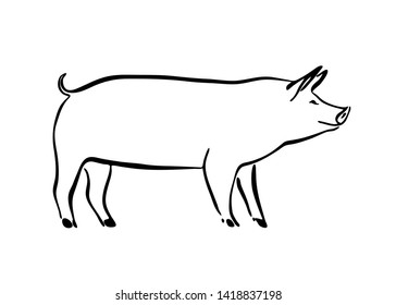 Hand drawn pig sketch illustration. Vector black ink drawing farm animal, outline silhouette isolated on white background.