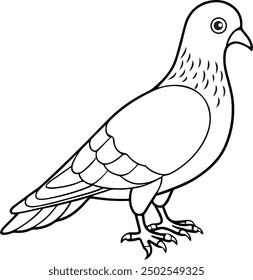 hand drawn pigeon vector illustration 