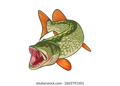 hand drawn pike fish illustration