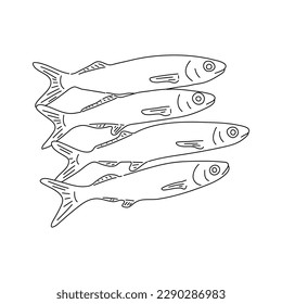 Hand drawn pilchard. Black and white. Vector sketch of a fish.